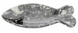 Fish-Shaped Fossil Goniatite Dish (Black) - Stoneware #62457-2